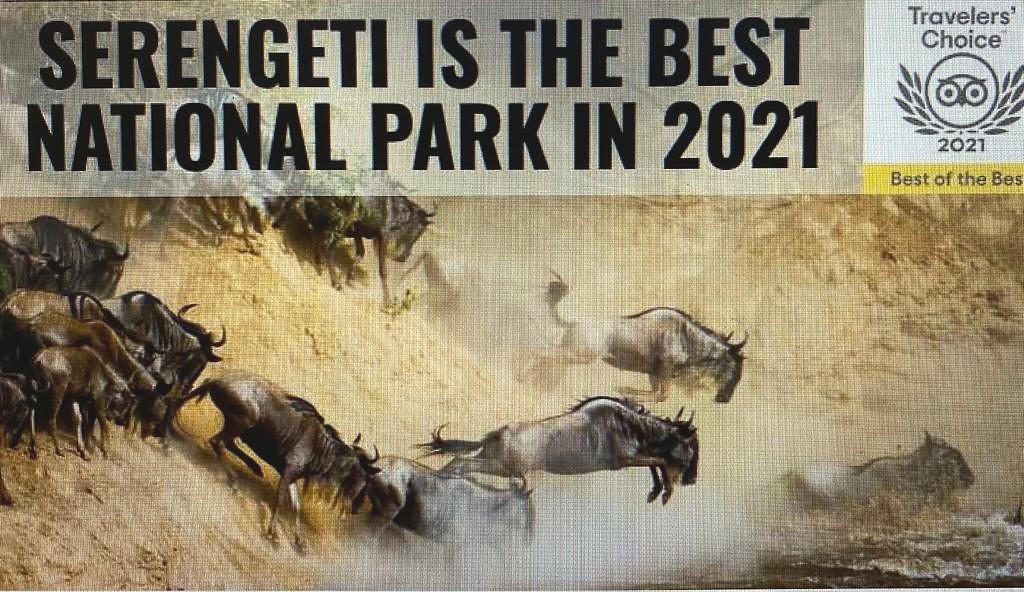 Serengeti National Park-Tanzania