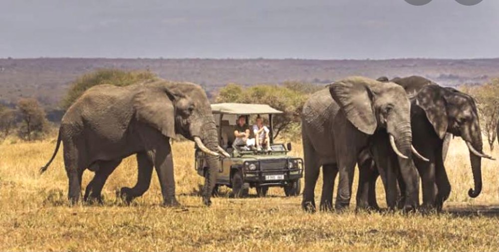 Tarangire National Park-Tanzania